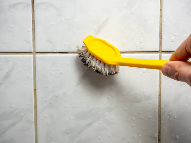 Best Commercial Mold Removal  in Lufkin, TX