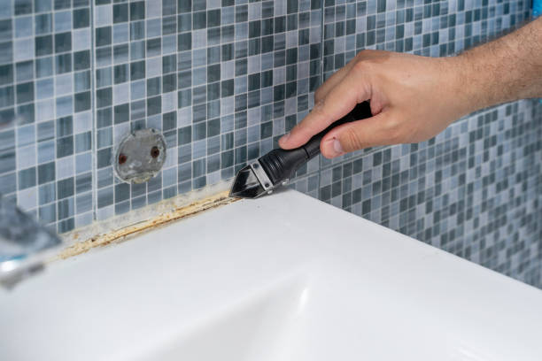 Best Mold Cleaning Services  in Lufkin, TX