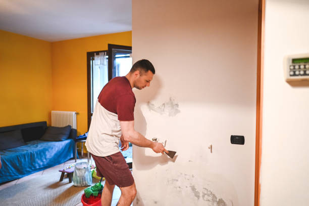 Best Toxic Mold Removal  in Lufkin, TX